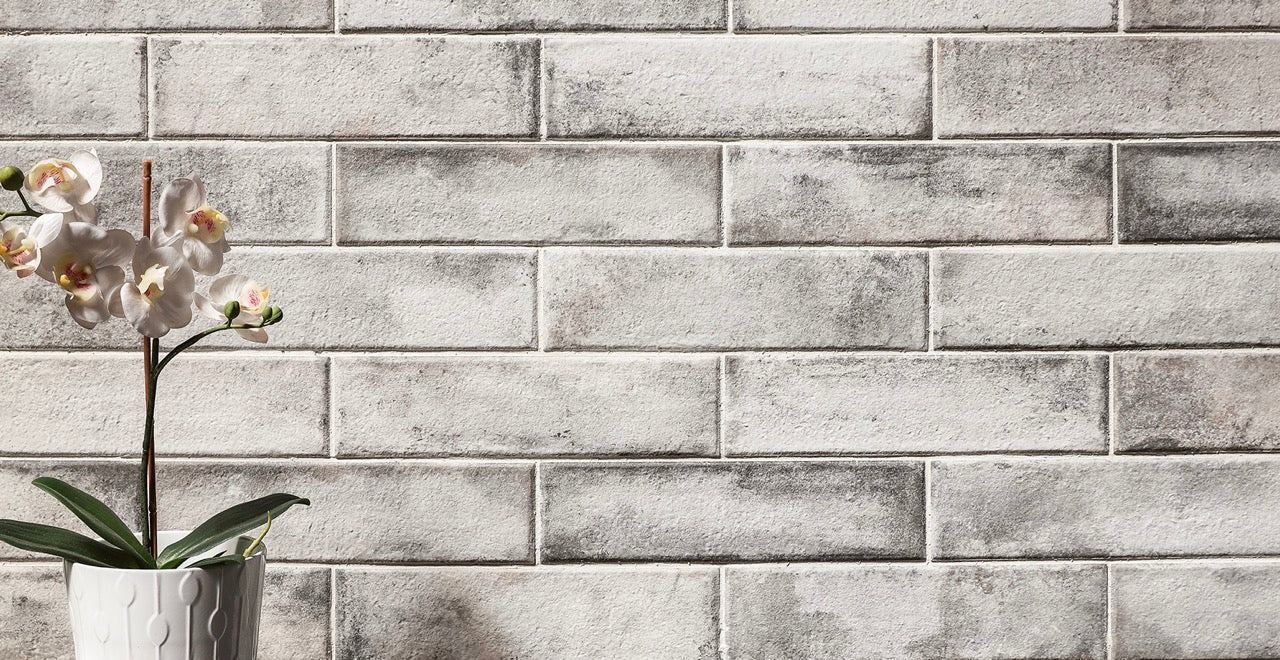 Monopole - Raku