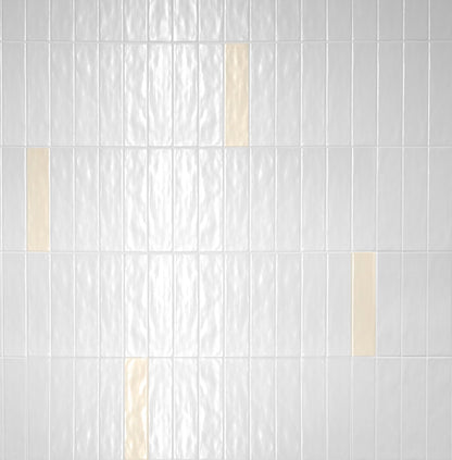 Monopole - Miracle