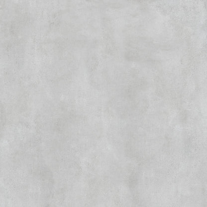 Saloni - Velvet-C