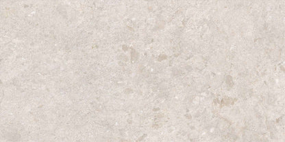 Saloni - Cavallina
