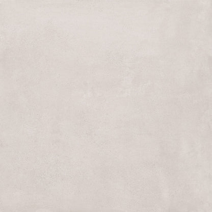 Saloni - Velvet-C
