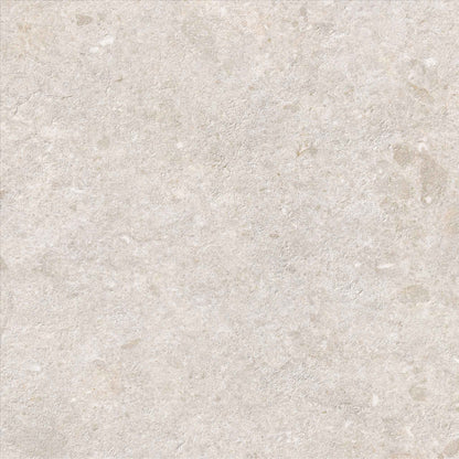 Saloni - Cavallina